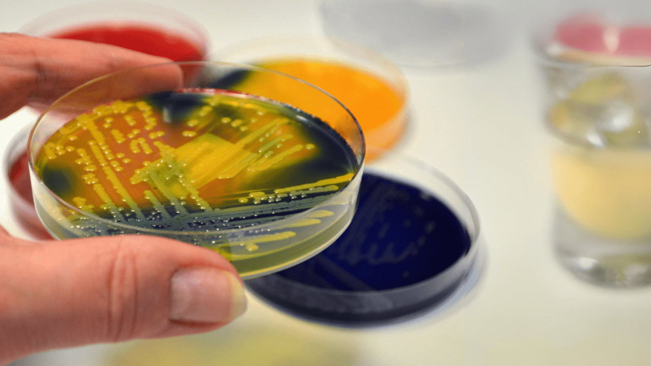 New antibiotic kills deadly superbug in early tests