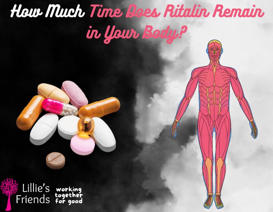 How Much Time Does Ritalin Remain in Your Body | Lillie's Friends