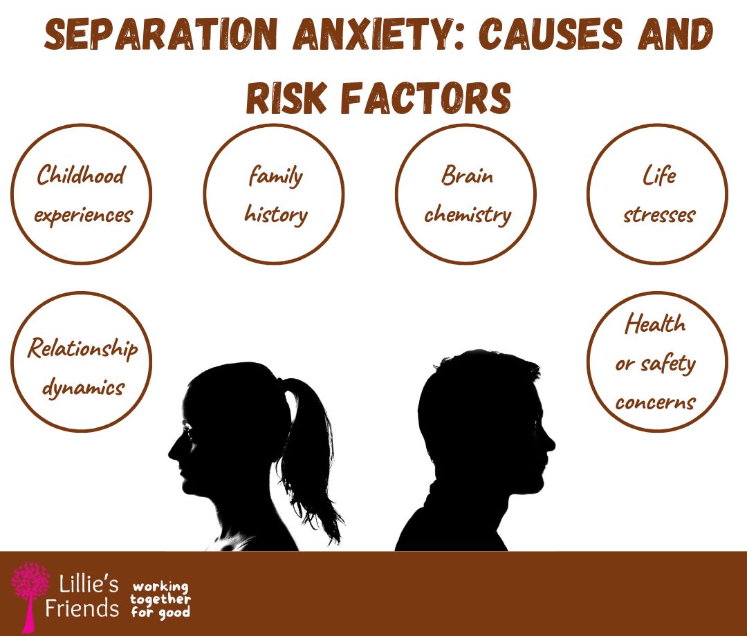 SEPARATION ANXIETY CAUSES AND RISK FACTORS | lillies friends